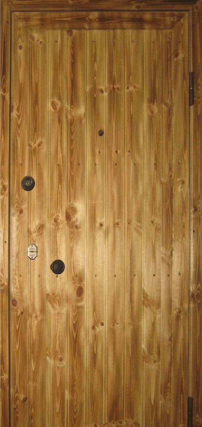 ВХОДНАЯ ДВЕРЬ  ИЗ МЕТАЛЛА ЭКОНОМ (ВАГОНКА ОКРАШЕННАЯ)